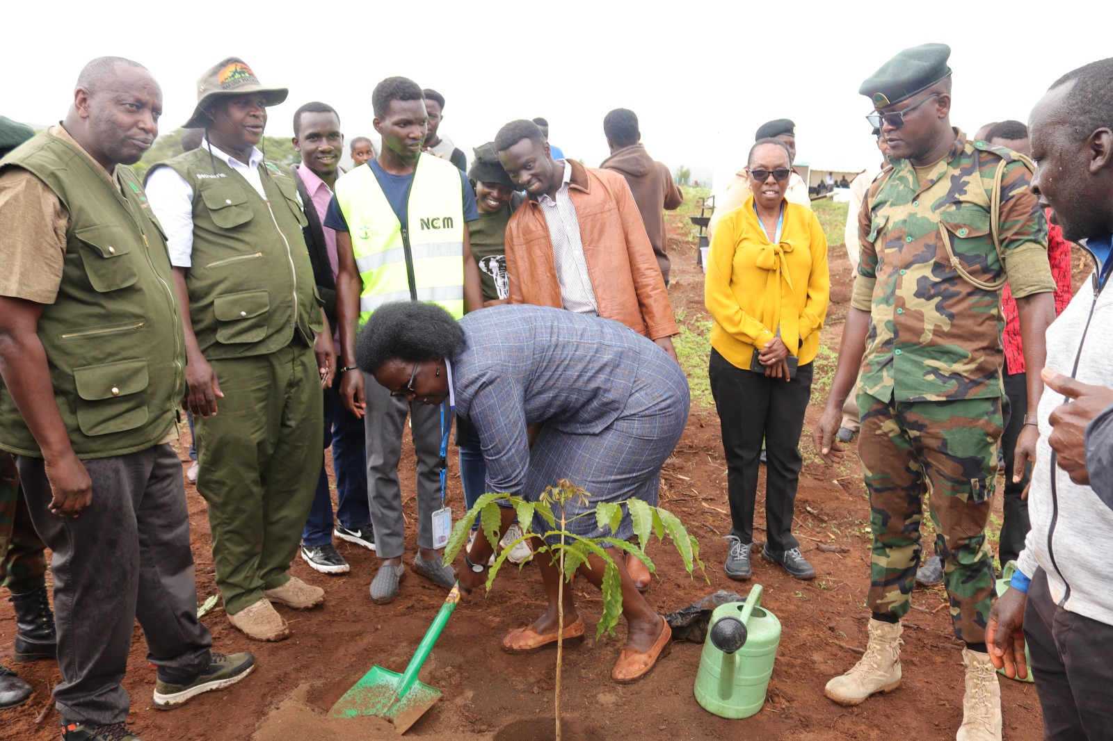 Daystar Community enhances its forest cover